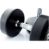 Muscle Power Ronde Dumbbellset 12 KG MP914  MP914-12KGSET